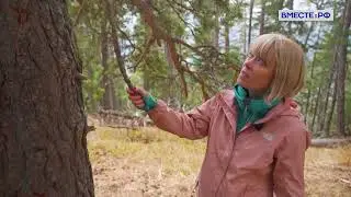 Архыз. Карачаево-Черкесия / Karachay-Cherkessia. Russia