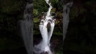 India talest waterfall Kunchikal Falls karnataka #ytshorts #explore #india