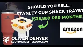 Should You Sell A Stanley Cup Snack Tray On Amazon? - ($35,889 Per Month Case Study)