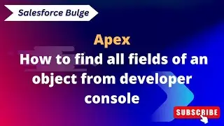 How find all fields of an object from developer console.