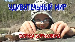 Удивительный мир Бориса Борисовича