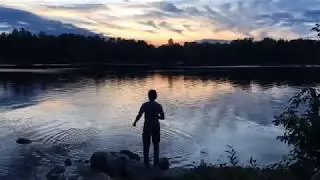 Wildlife in the Pontiac region - Coyote, Deer and Catfish