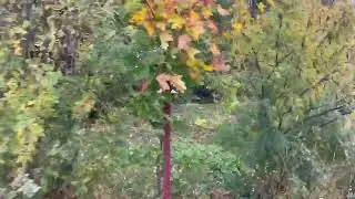 Школьный автобус перевернулся в Подмосковье