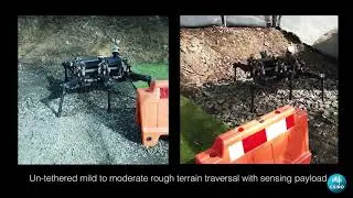 Bruce - Design and Development of a Dynamic Hexapod Robot