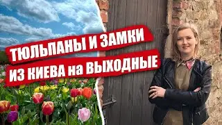 Маршрут на один день из Киева. Добропарк и Замок-музей Радомысль
