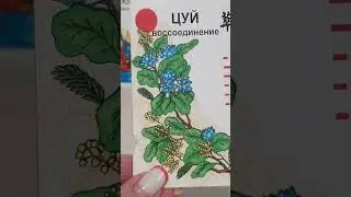 Расклад:Что ждет БЛИЗНЕЦОВ в июле?(гороскоп)🧡 +79188976803
