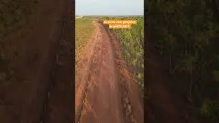 Aceiros é uma prática de prevenção e proteção contra incêndios. Todos anos fazemos em nossas áreas.