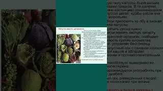 Полезно знать про пользу капусты #капуста #польза #рецепт  #полезнознать #здоровье #полезныесоветы