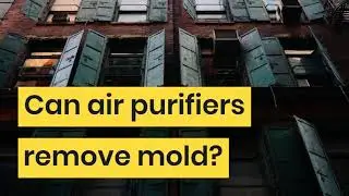 Can air purifiers remove mold?