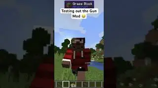 Minecraft Funny Moment #shorts