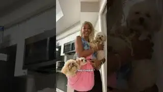 Bag O Pups