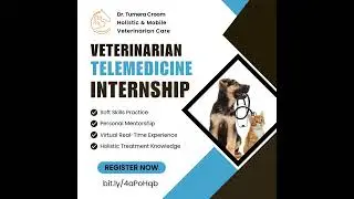 Vet Internship