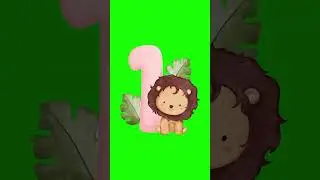 5 Second Countdown Green Screen Effect 