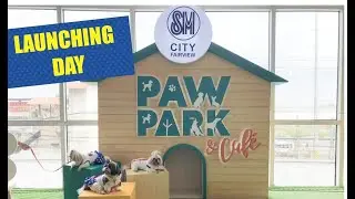 SM FAIRVIEW PAW PARK & CAFE LAUNCHING DAY | INDOOR PET PARK | POTCHIFIA THE SHIH TZU PAWMILY