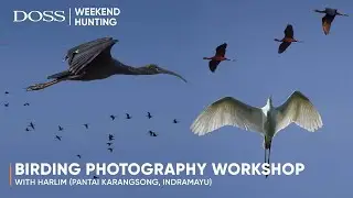 Birding Photography bersama Harlim di Pantai Karangsong , Indramayu | DOSS Photo Hunting