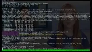 Arch Linux + spectrwm + compton