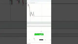 Обзор рынка криптовалют
