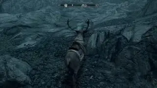 I Became A Horse in Skyrim... | Skyrim Glitch