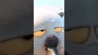 отрывок из лука (видео моё)