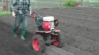 Planting potatoes under a walk-behind tractor 2021: a new option!!!