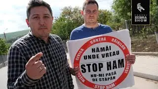 Mișcarea civică StopHam în acțiune