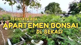 VIDEO #101 || BERKUNJUNG KE APARTEMEN BONSAI BEKASI
