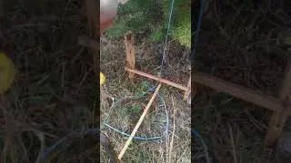 ОХОТА ЛОВУШКИ И КОМПОТ ДЛЯ ЗАЙЦА