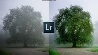 Dehaze in Lightroom Classic CC - التعامل مع الضباب في الصور