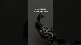 ЭТОТ ПРИНТ СНОВА В МОДЕ 