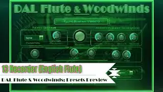 Recorder English Flute VST VST3 Audio Unit EXS24 KONTAKT. DAL Flute & Woodwinds. Oboe, Clarinet...