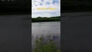 река Тобол - Ярково 2022