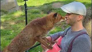 Singing for Animals Compilation 😭❤️❤️