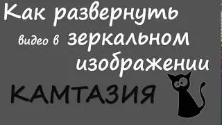 КАМТАЗИЯ   как развернуть видео в зеркальном изображении