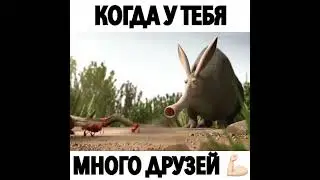 Друзья