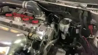 ECU Ms Labs Plug and Play for 2.0 TFSI