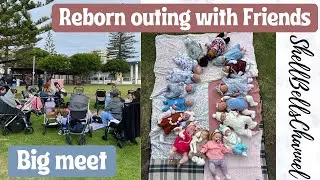 Pre Central Coast Reborn doll show meet up 2024!
