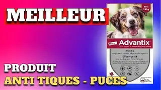 TOP 5 : Meilleur Produit Anti Tiques pour Chien 2024