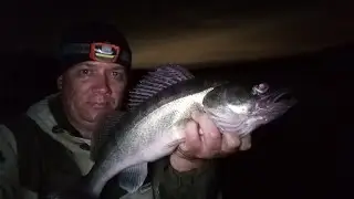 Night fishing with a rubber band for zander, ide, and pike, Tom River, Tomsk Region, August 2021