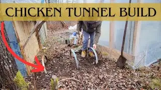 12×12 Offgrid Cabin Homestead Chores Day | Chicken Tunnel Build
