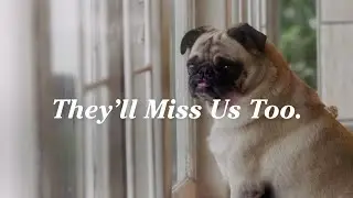 They'll Miss Us Too