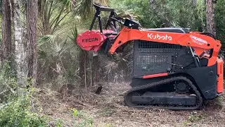 Fecon RK6015 and Kubota 65-2 cleaning up the front of a property| forestry mulching