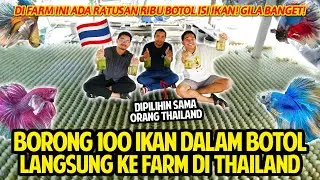 BORONG 100 BETTA FISH DALAM BOTOL LANGSUNG KE FARM TERBESAR YANG KITA KUNJUNGI DI THAILAND!