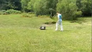 Hpi Savage X 4.6
