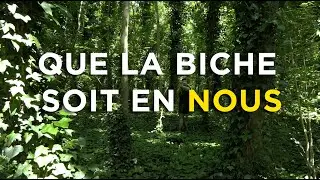 Astéréotypie - Que la biche soit en nous (Visualizer)