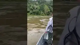 До берега подкинь, брат!!