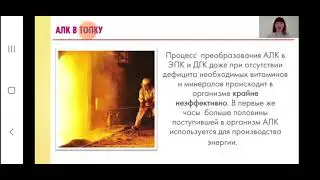 Омега 3