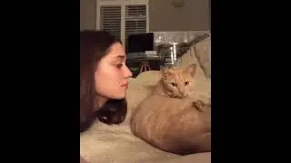 MUSHUK MENING DO'STIM😻😻😺😺 #tiktokvideo #tiktok #shorts #story