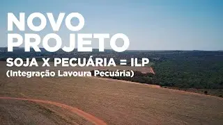 NOVO PROJETO -MS : SOJA X PECUÁRIA.