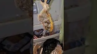 Magic Clean of the Greasiest Kitchen! 