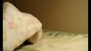 Scratch Kitty